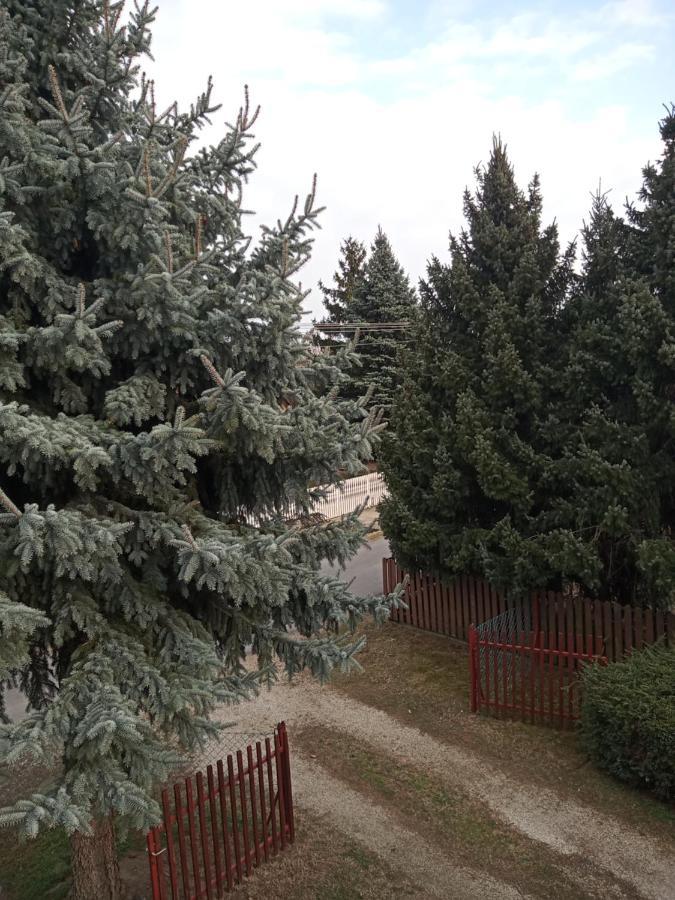 Апартаменты Borostyan Vendeghaz Балатонкерестур Экстерьер фото
